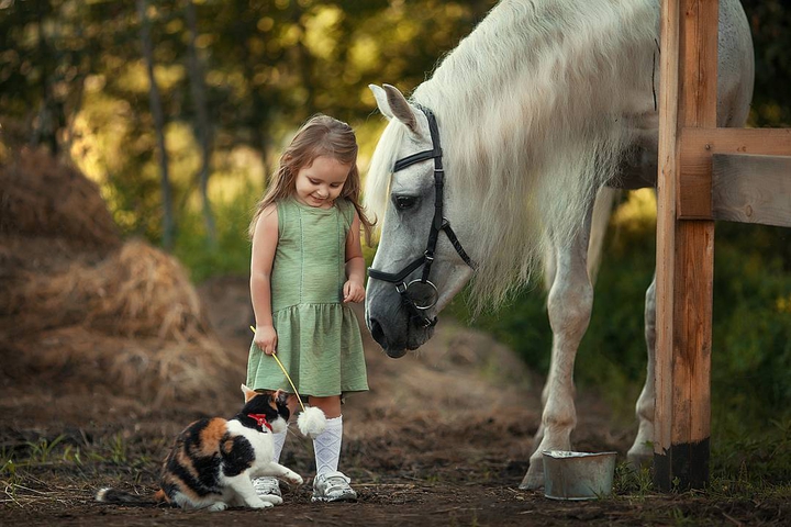 Friends...❤