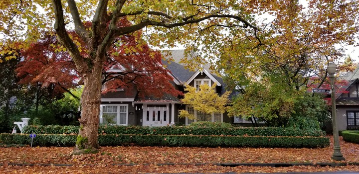 Happy about autumn!