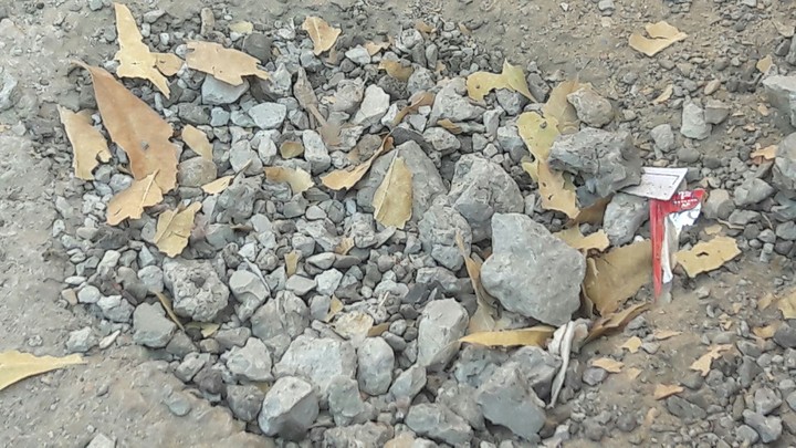 rocks and autumn