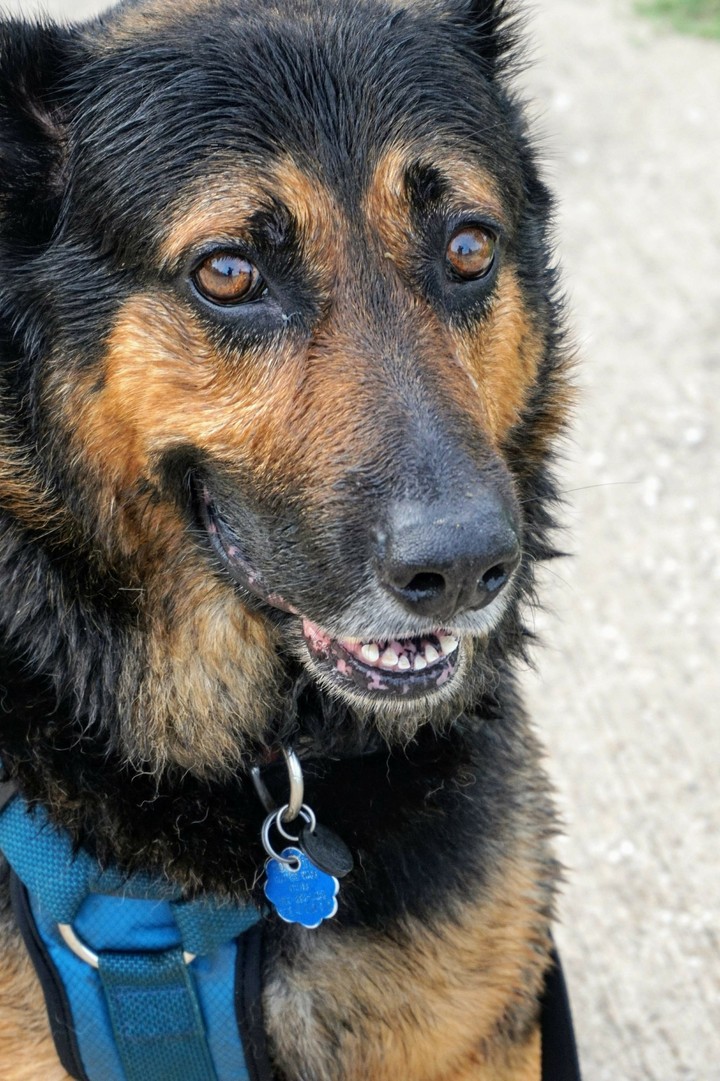 Max