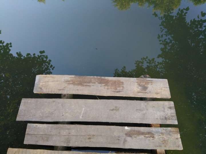 Bridge