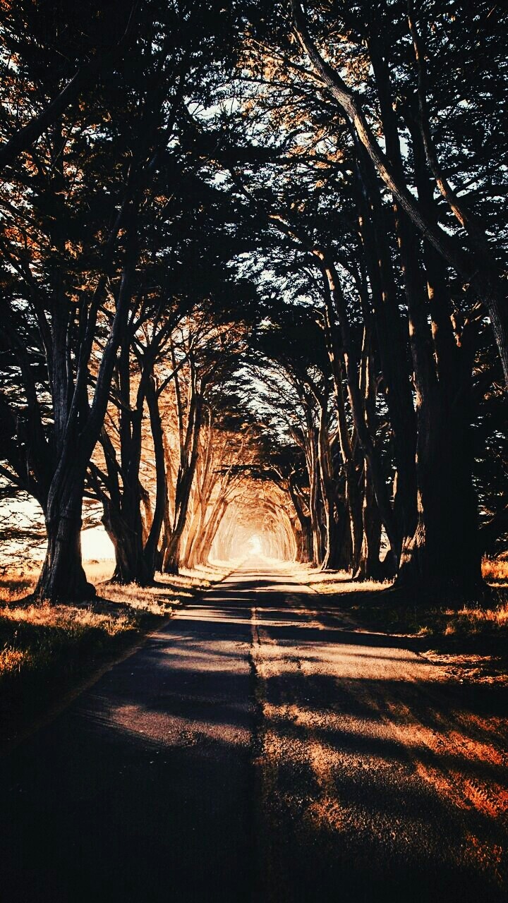 Sonu olmadını sandığımız o uzun yollar...