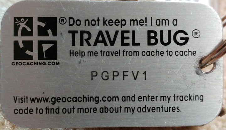 Travel Bug