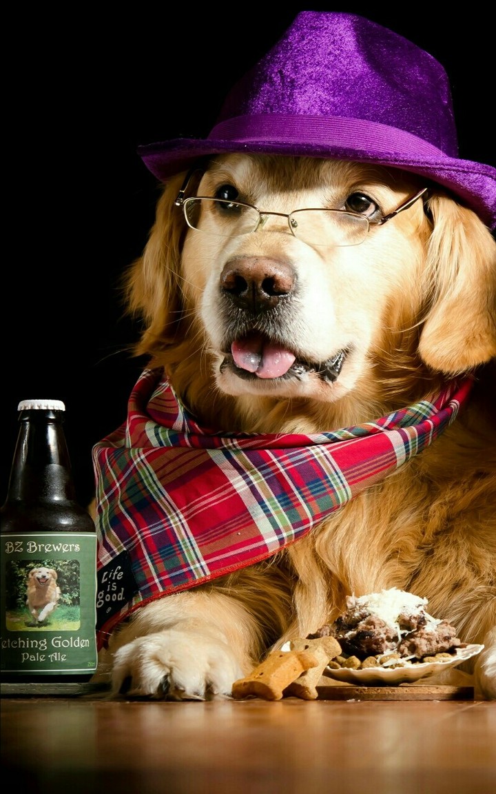 dog