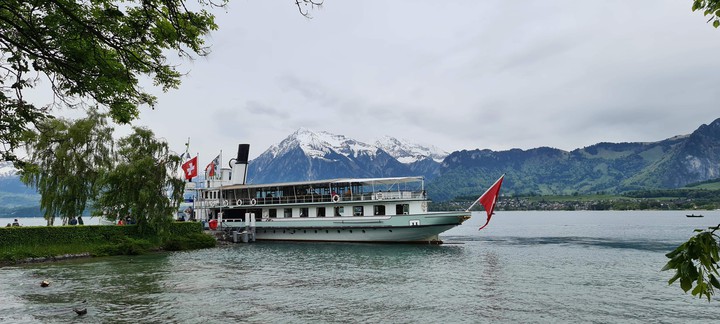 swiss