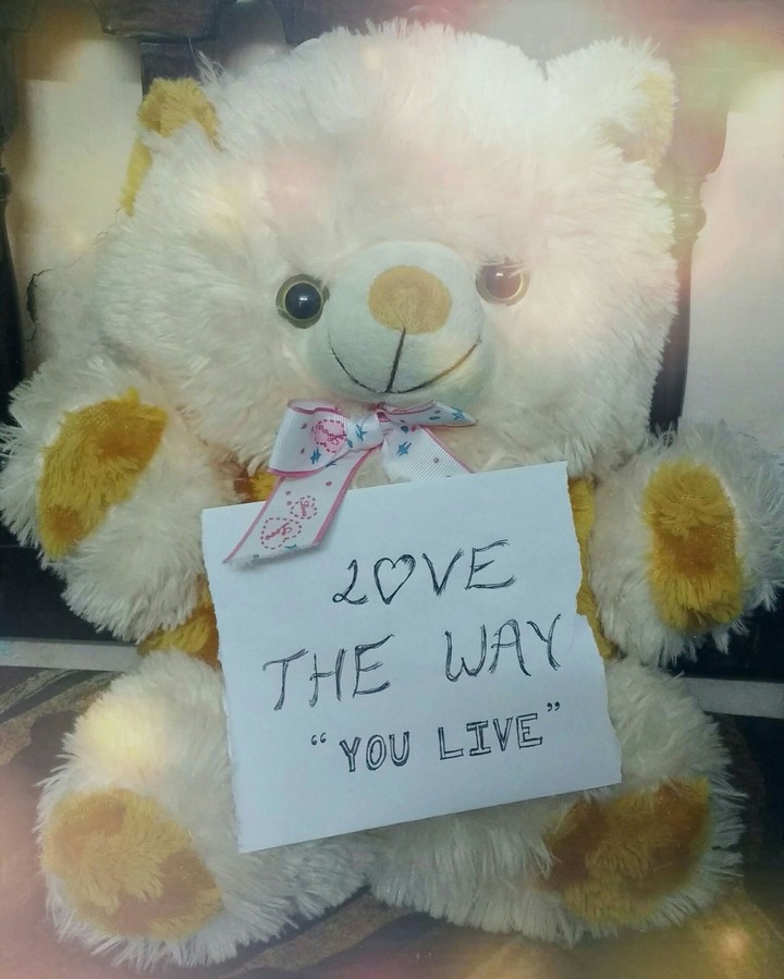 Teddy