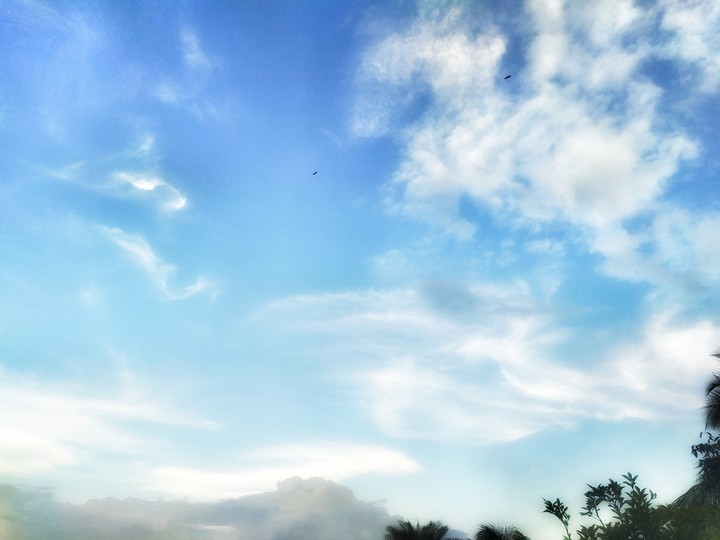 Sky