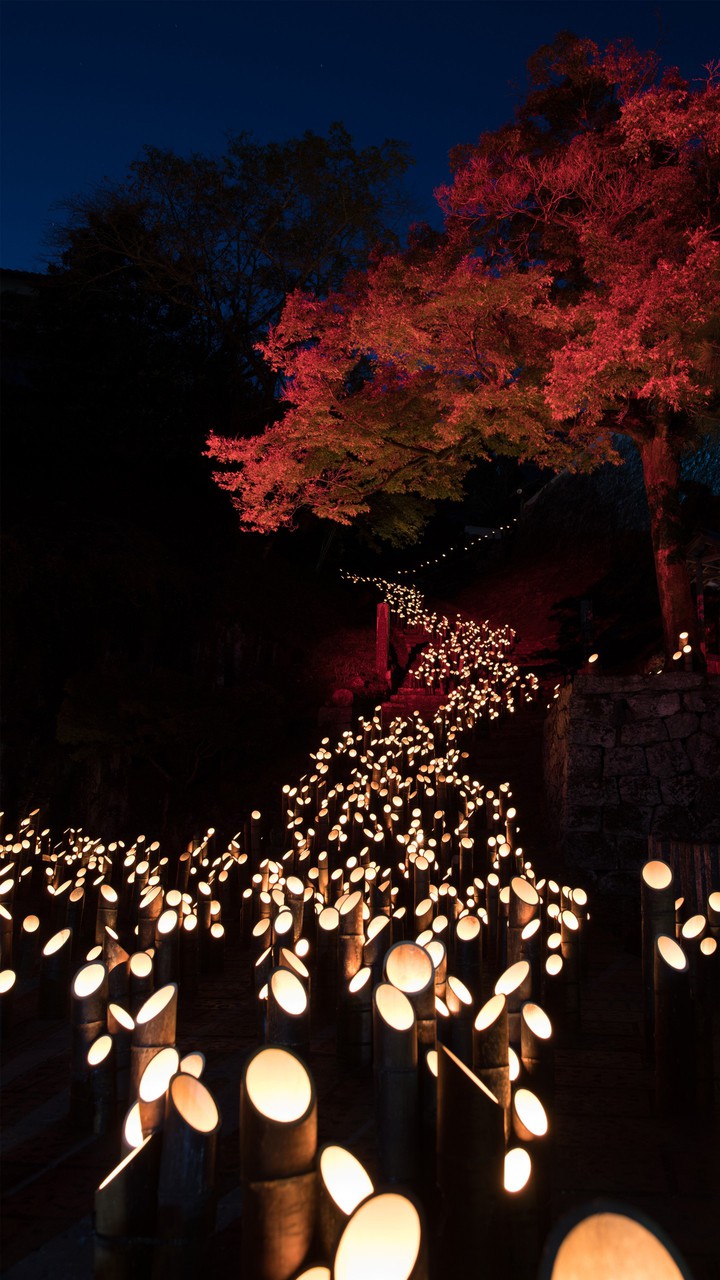 lights