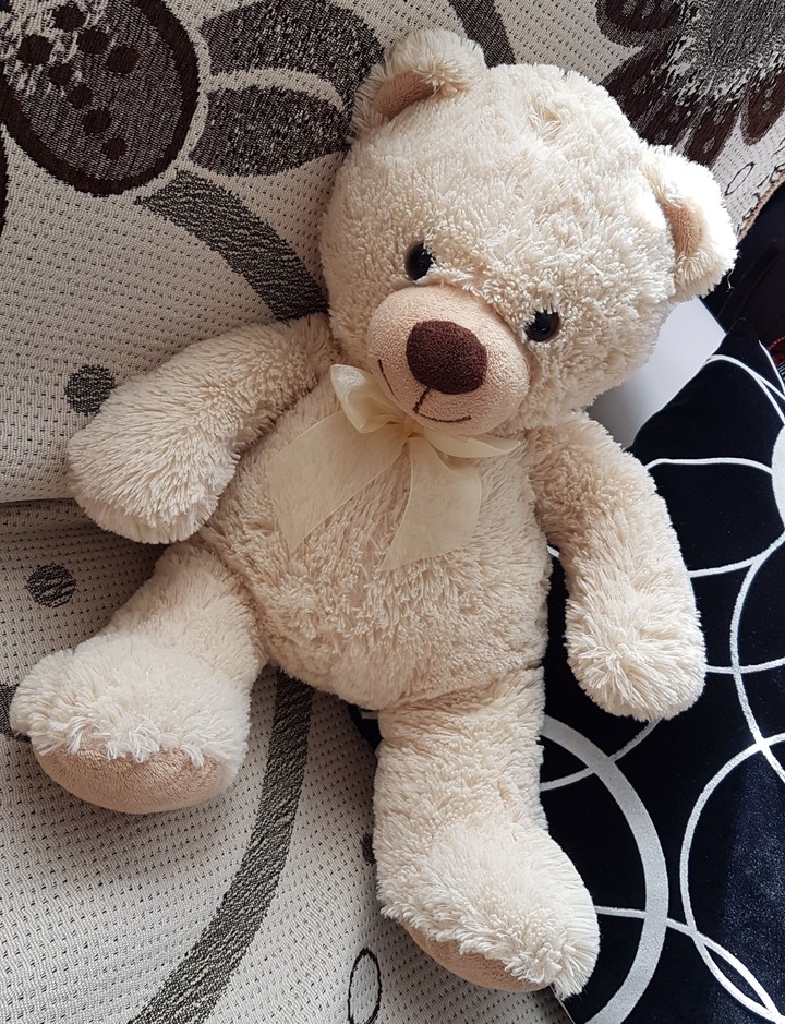 Teddy