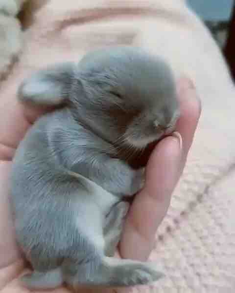 cuteness overload
