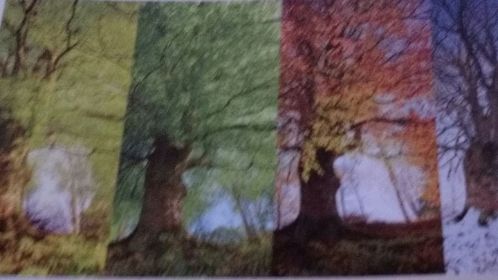 Seasons Ecosystem
