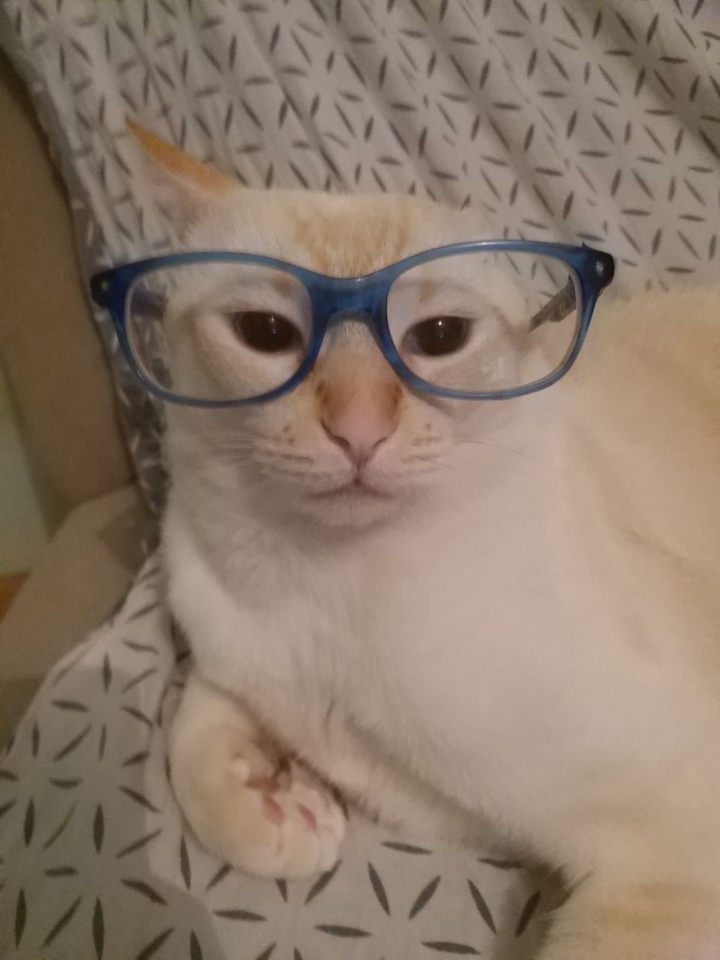 okoska??