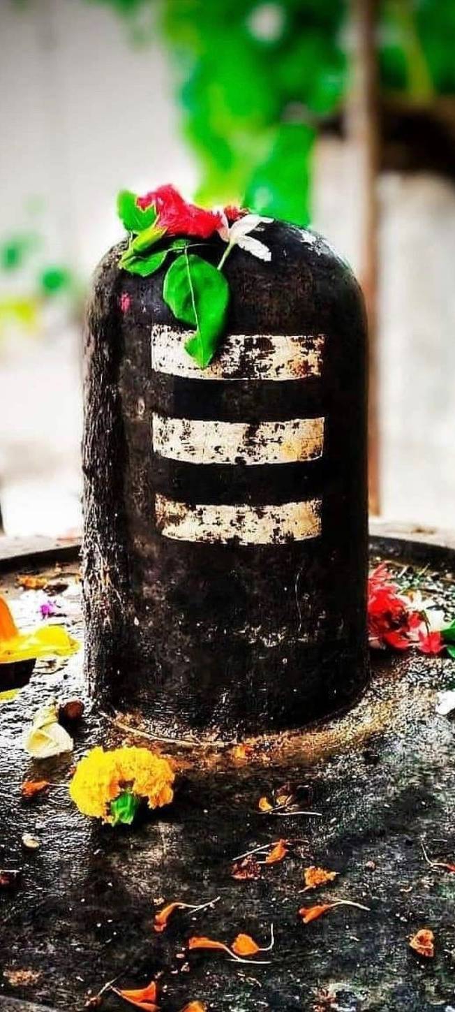 shiv