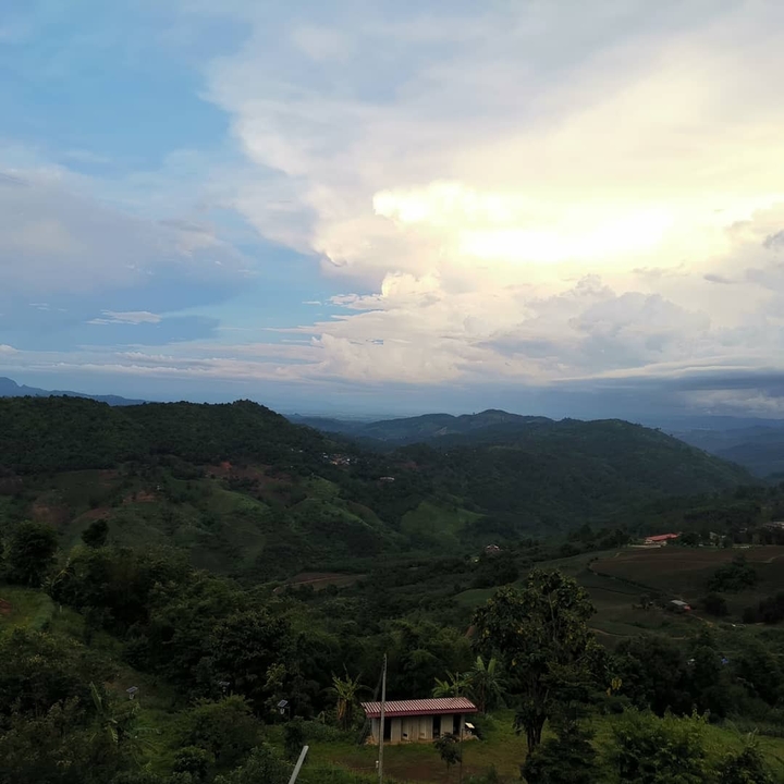 Mae salong Thailand