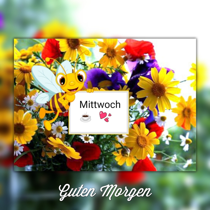 guten Morgen