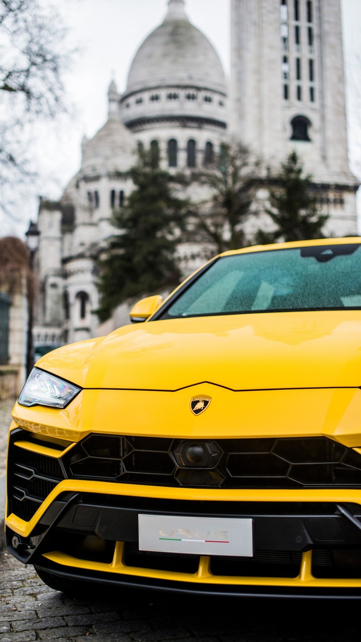 Lamborghini