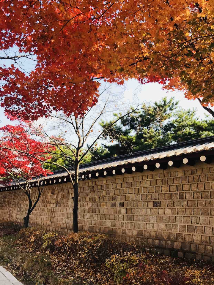 autumn