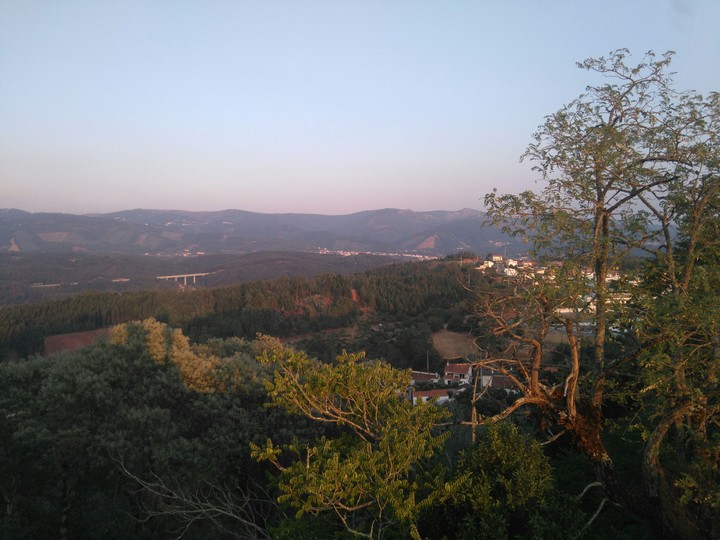 nature
