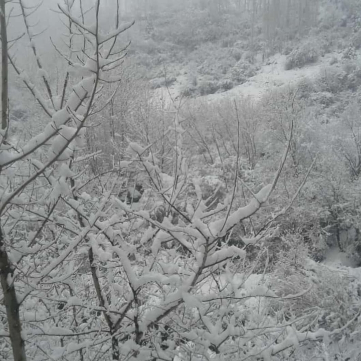 My village in Winter.