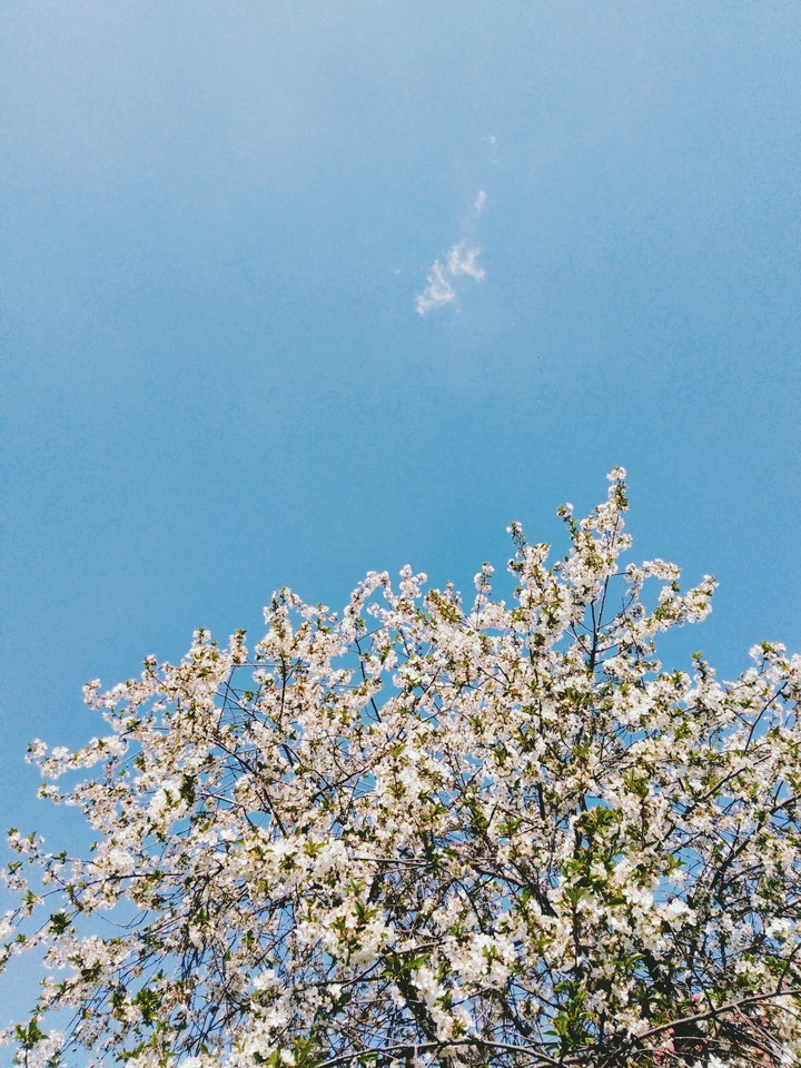Spring
