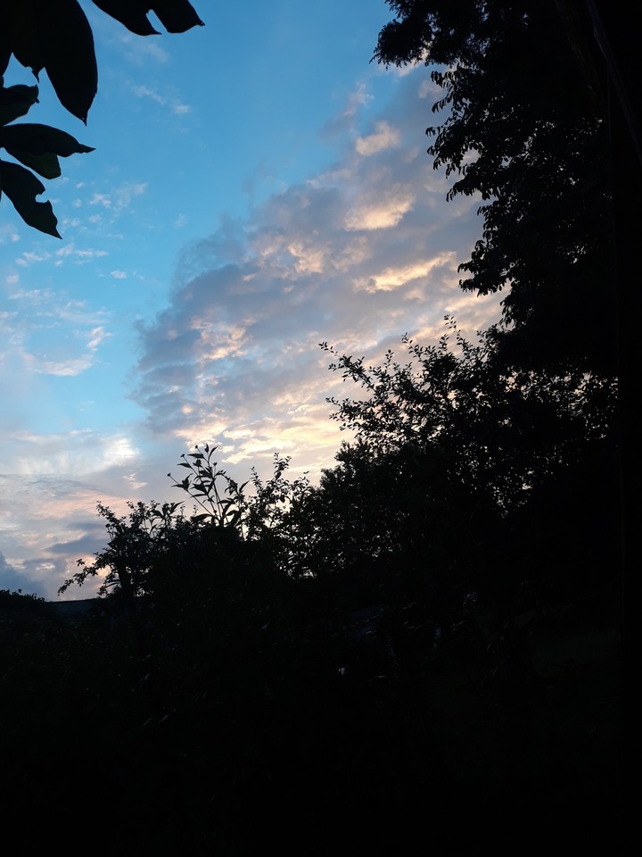 wonderful day