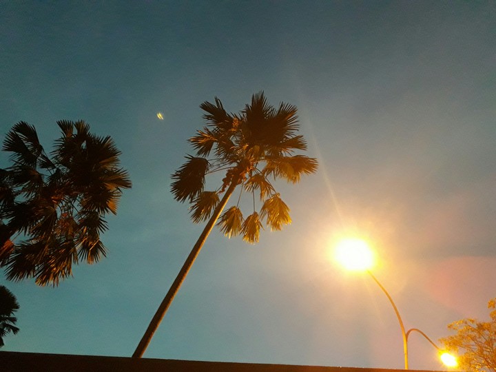Streetlight