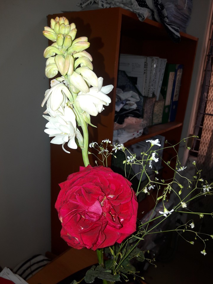 rose and tuberose