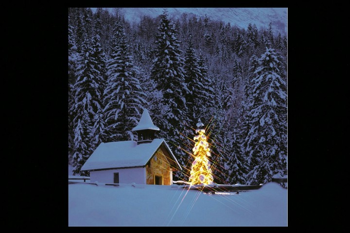 tree 2