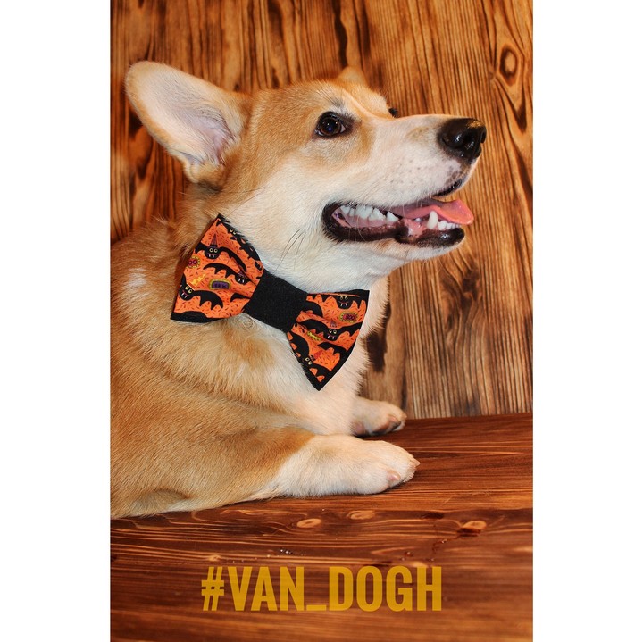 Boow! Happу Halloween!
