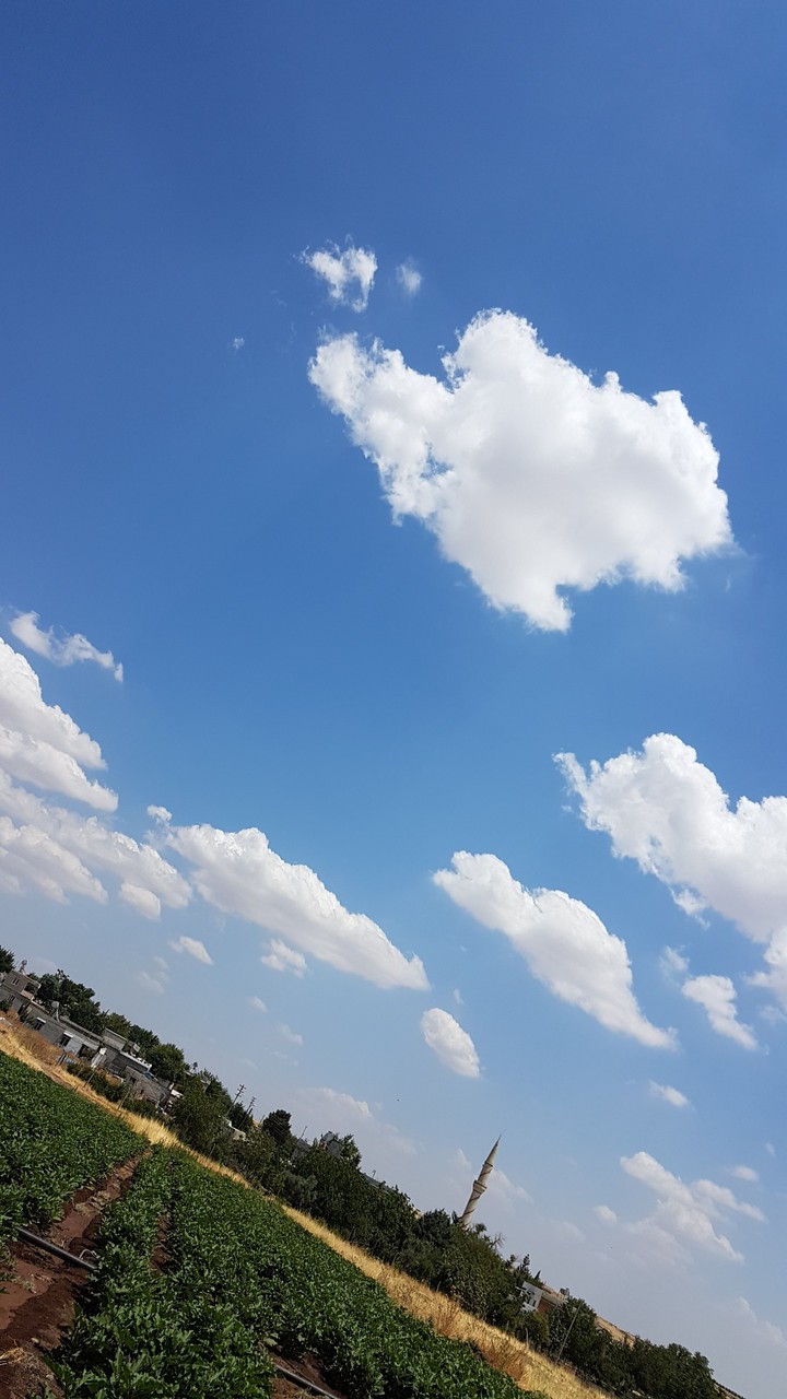 Sakin doğa