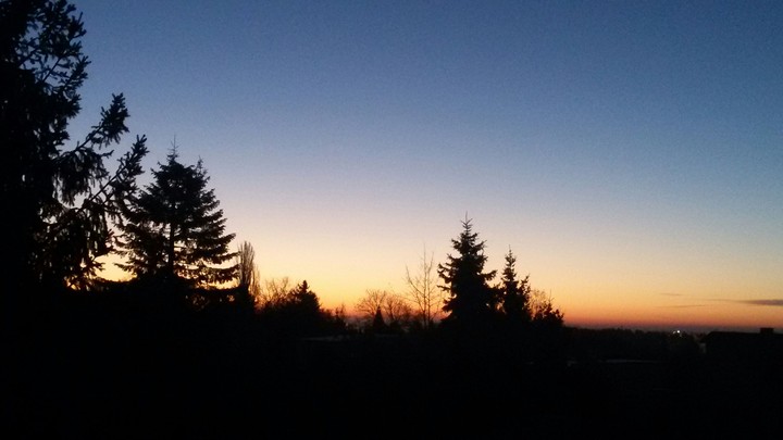 Morning