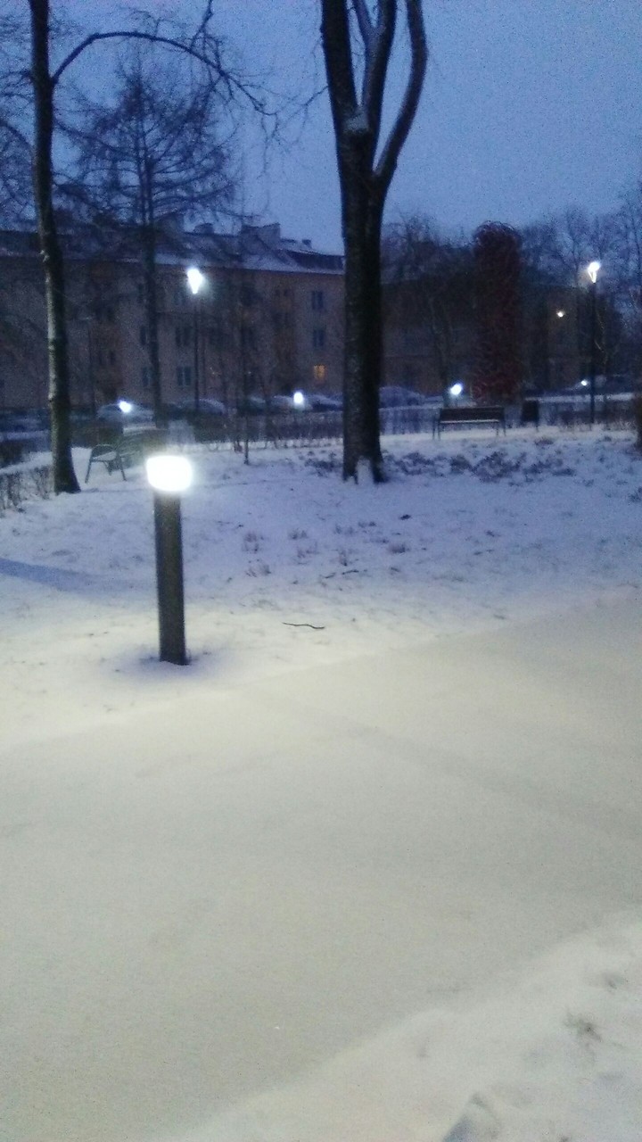 zima