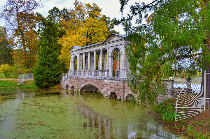 bridge in old park