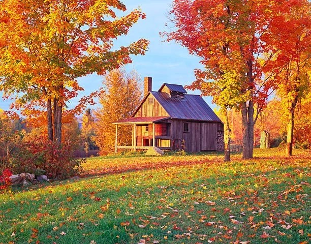 autumn in New England