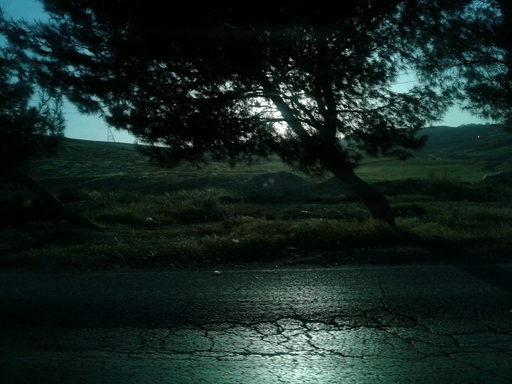The black street