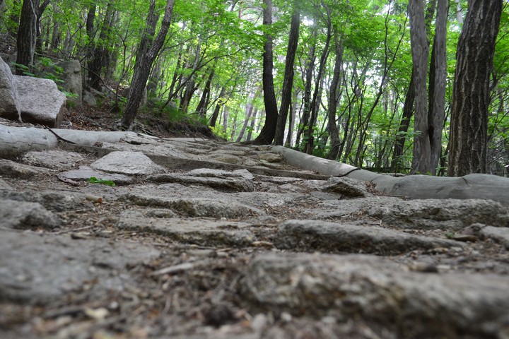 산이미지