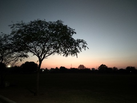shadows