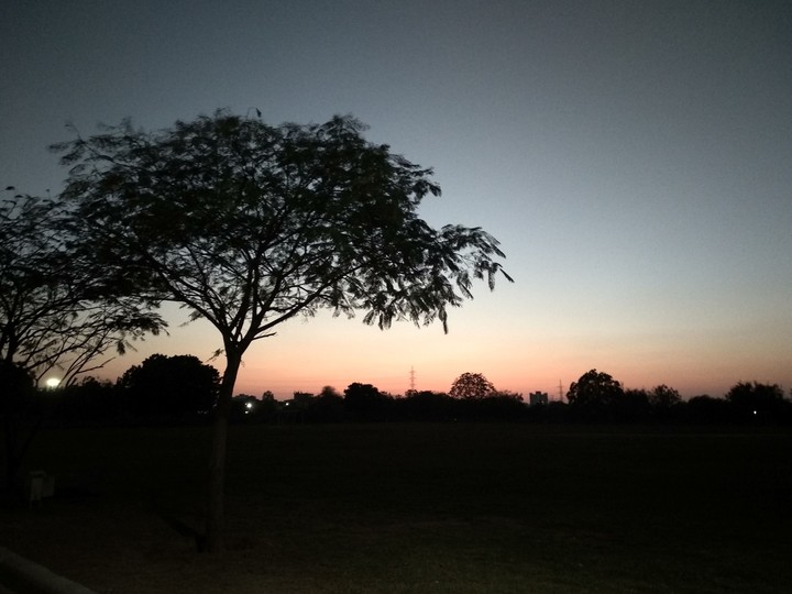 shadows