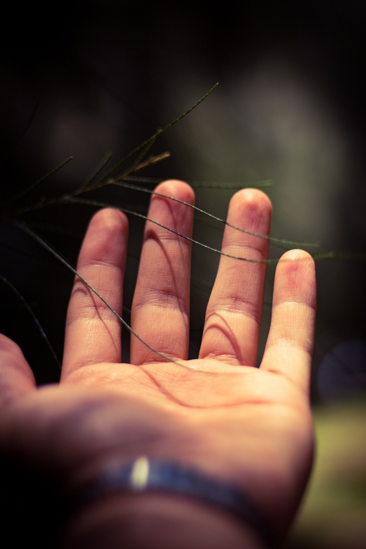 Hand