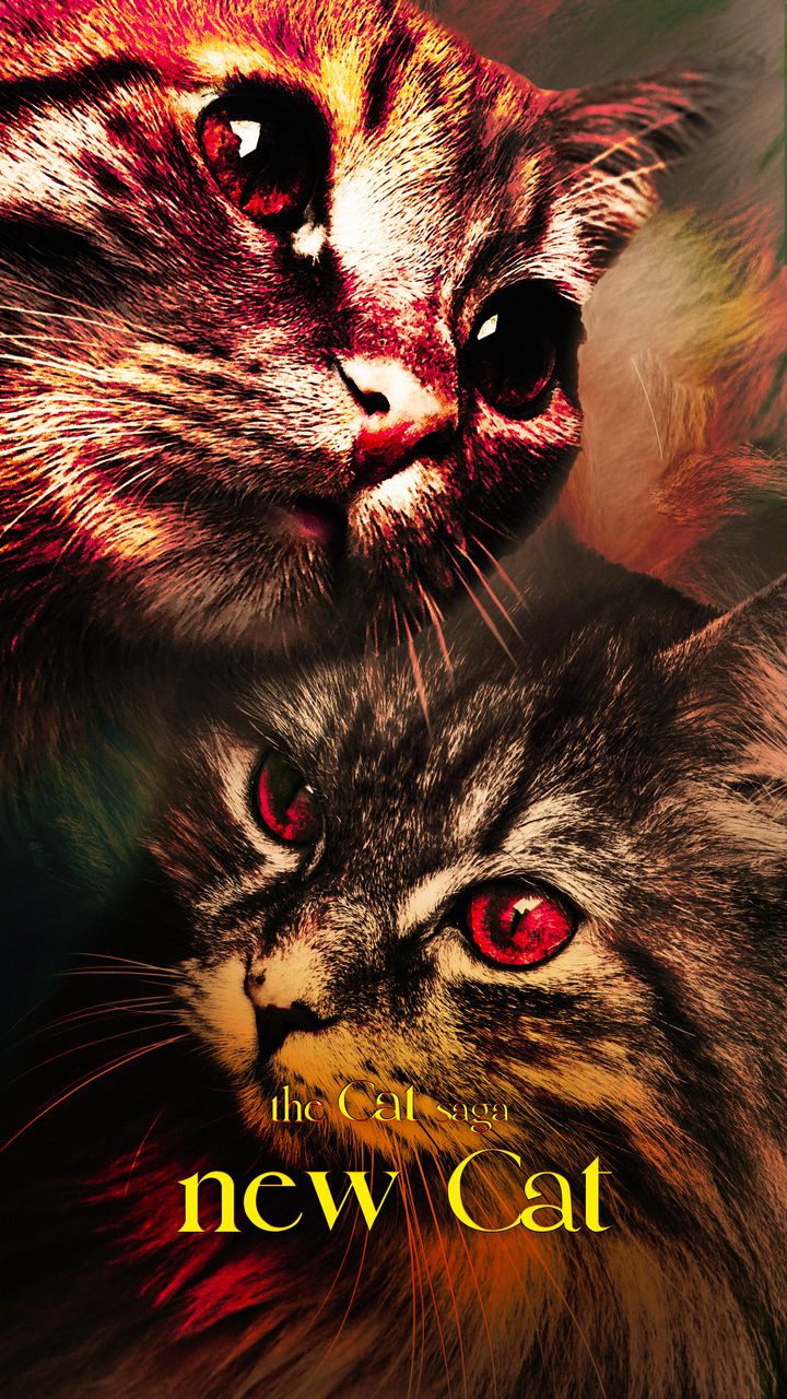 Кошки