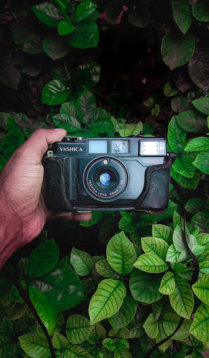 the camera