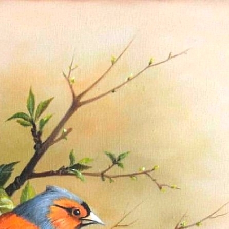 6x puzzle bird
