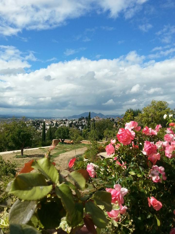nice view