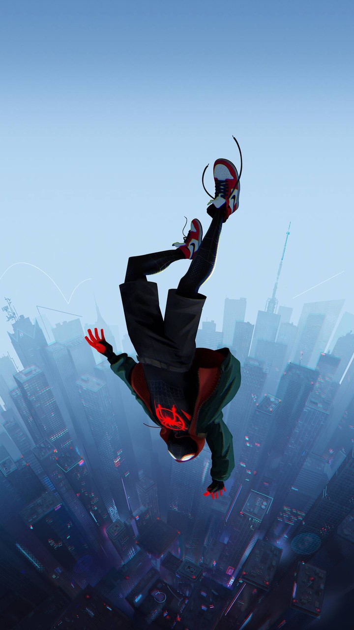 spider