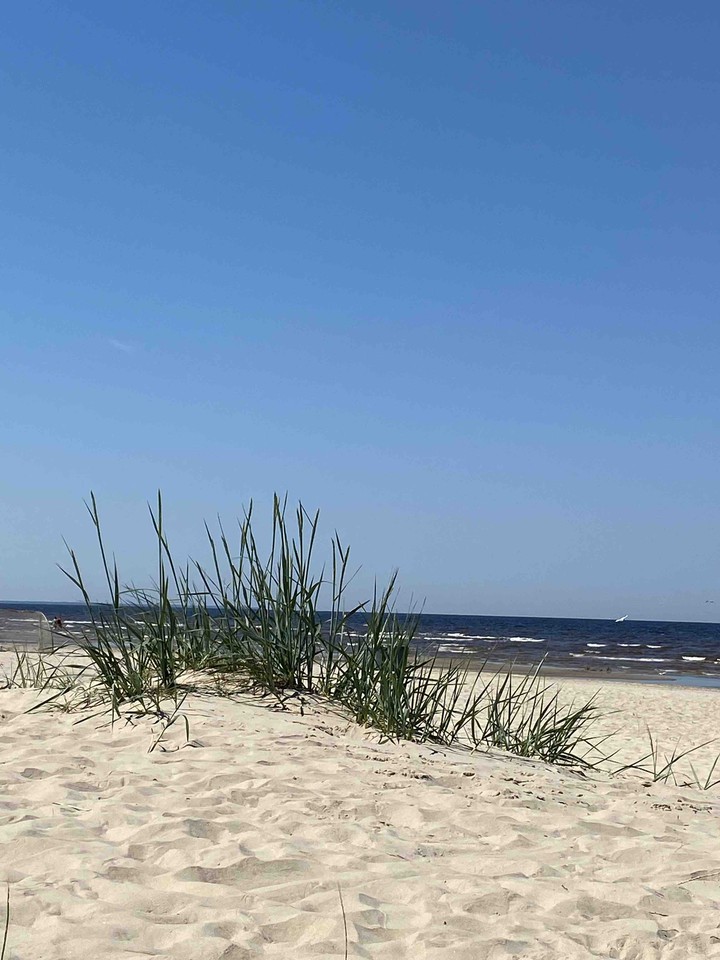 dunes