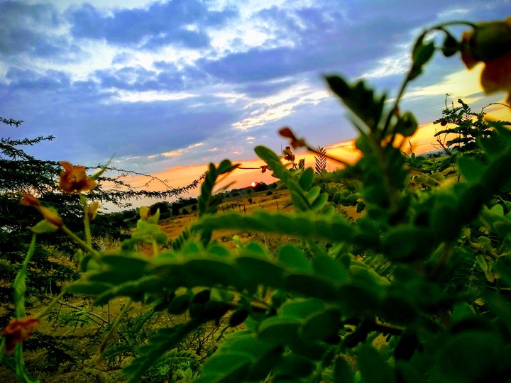 sunrise....