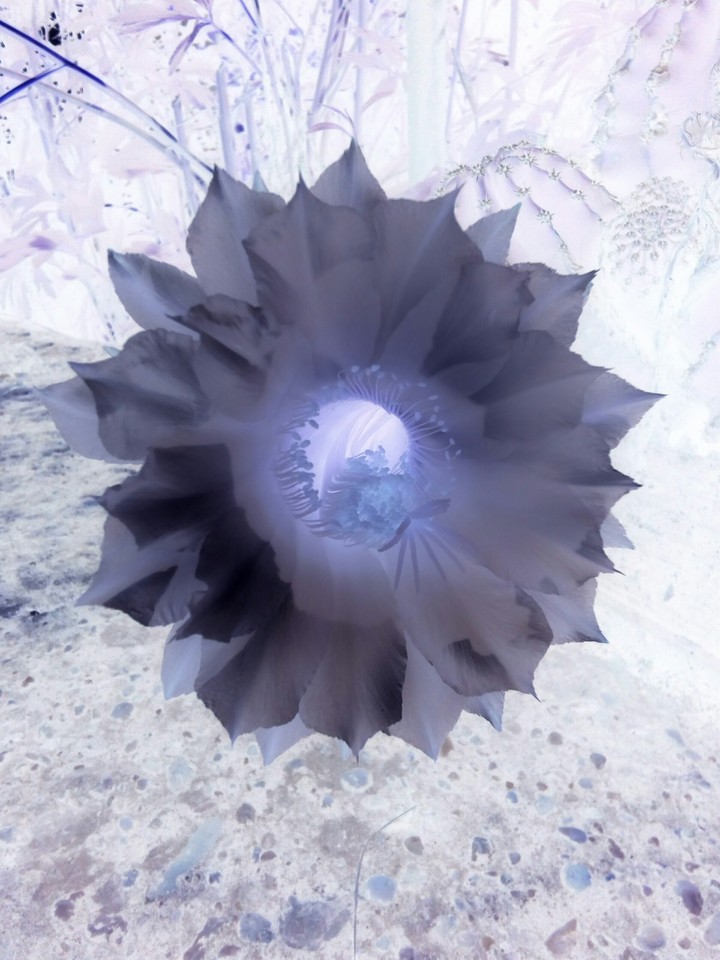 Negative