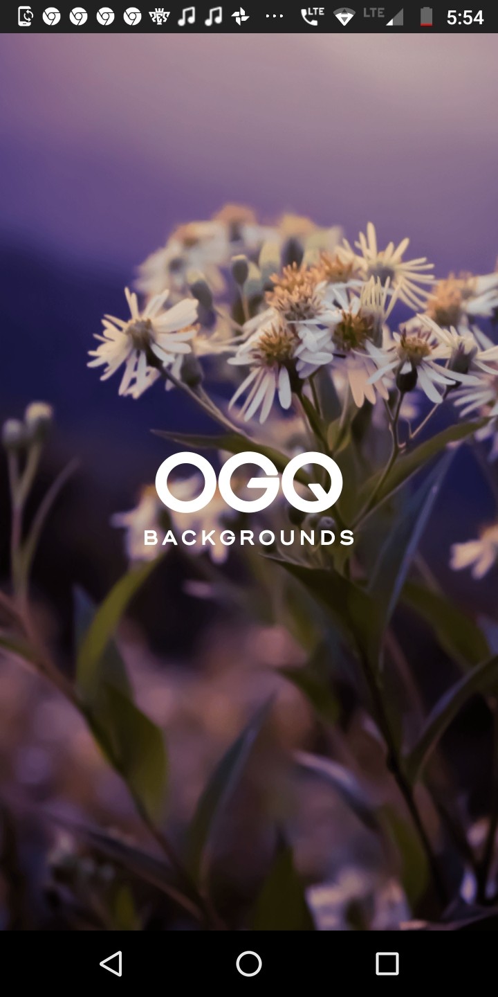 OGQ