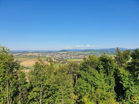 widok