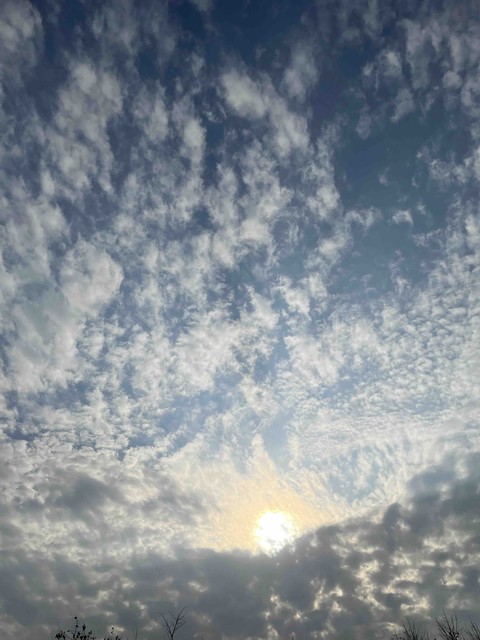 dusk, horizon वॉलपेपर